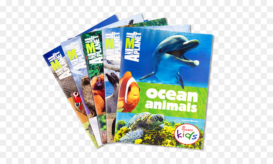 Oceano Animais Animal Planet Mordidas De Animais，Brochura PNG