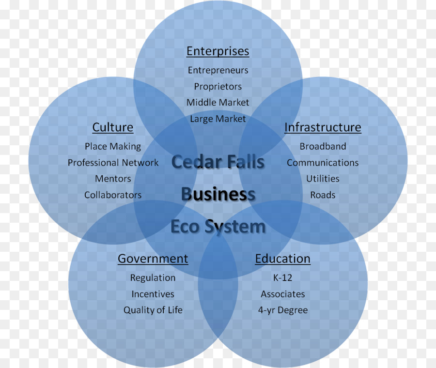 Organização，Diagrama De PNG