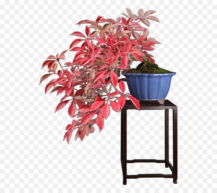 Flowerpot，Planta De Casa PNG