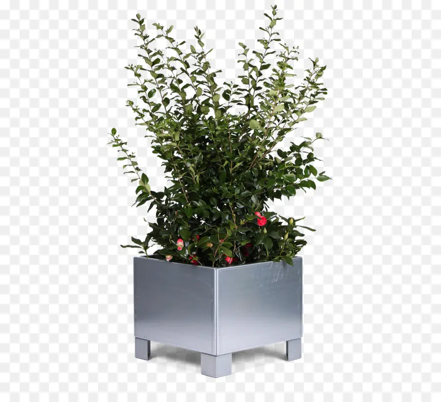 Flowerpot，Raisedbed De Jardinagem PNG