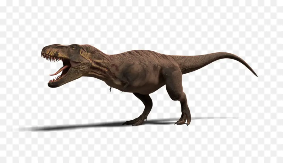 Tiranossauro，Jurassic Park Operação Gênesis PNG