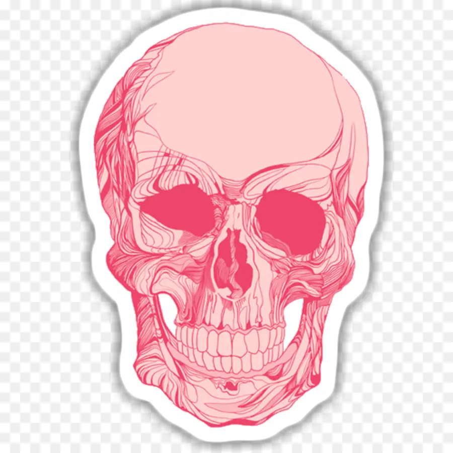 Crânio，Calavera PNG