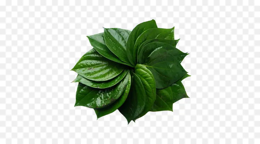 Paan，Betel PNG