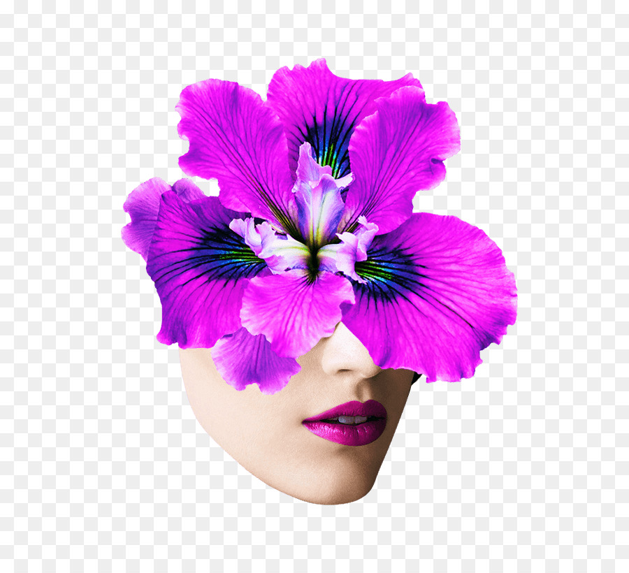 Cara De Flor，Face PNG