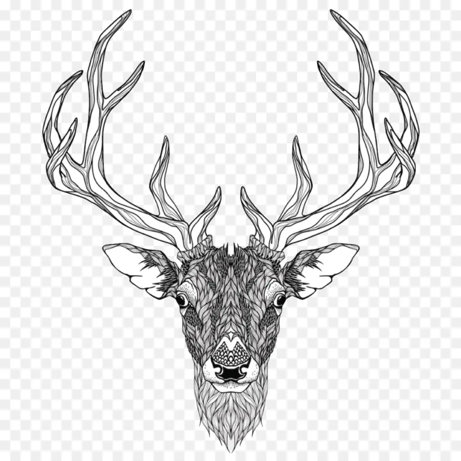 Deer，Tatuagem PNG