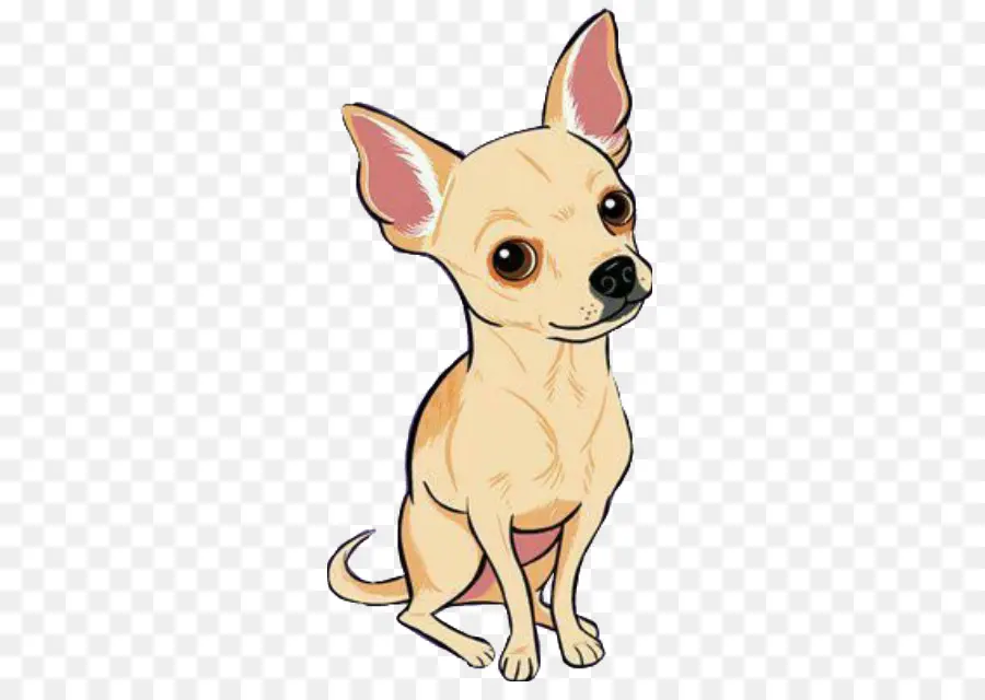 Chihuahua，Filhote De Cachorro PNG