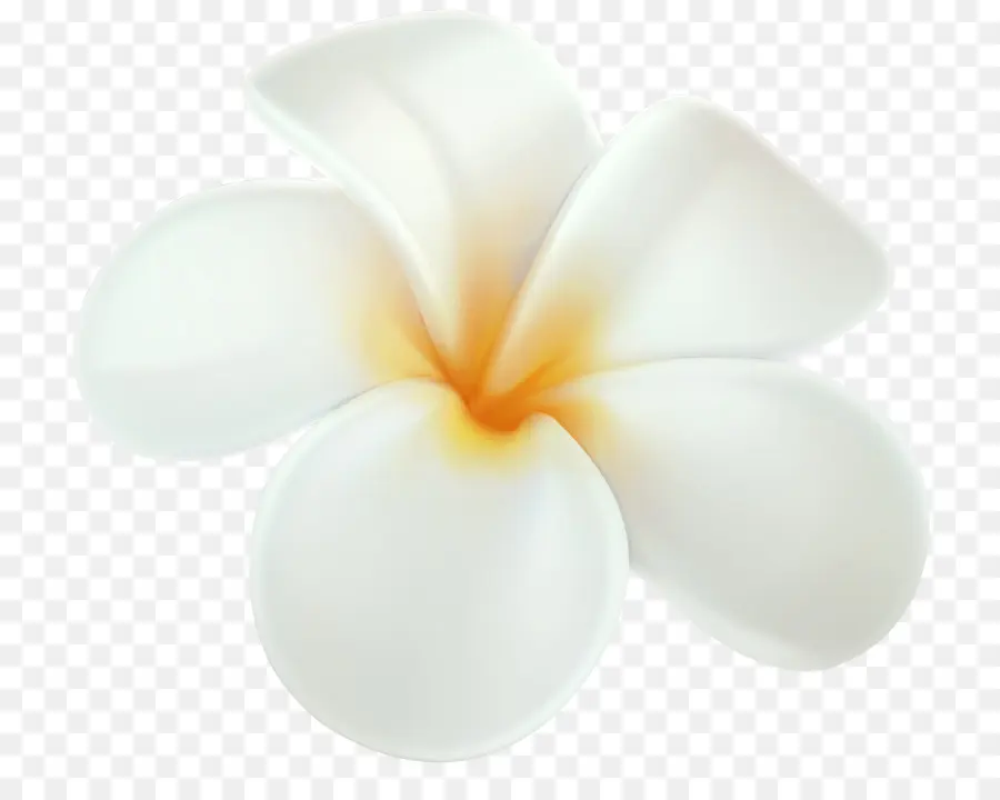 Havaí，Frangipani PNG