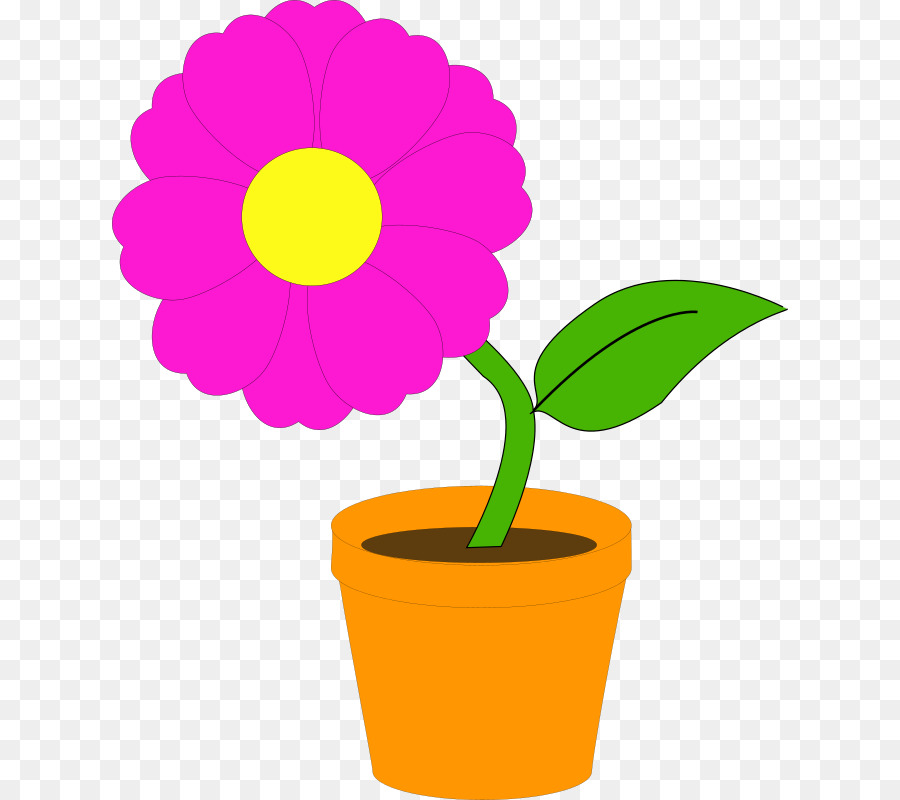 Flowerpot，Flor PNG