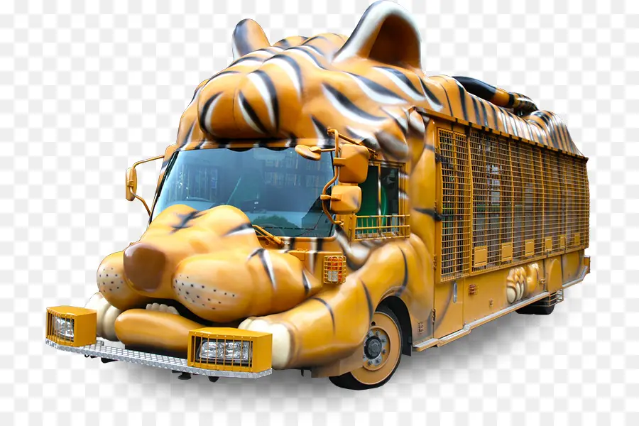 Ônibus Tigre，Animal PNG