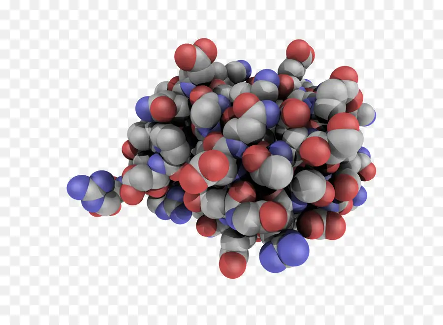 Estrutura Molecular，Molécula PNG