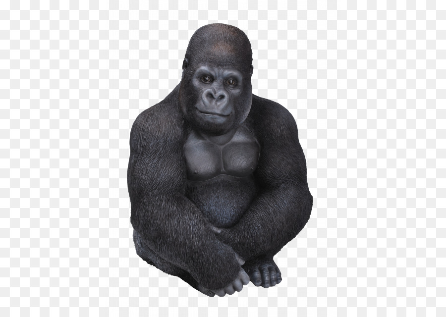 Gorila，Chimpanzé PNG