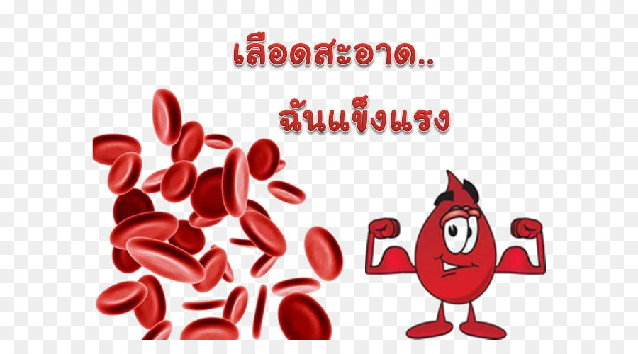 Células Vermelhas Do Sangue，Células Do Sangue PNG