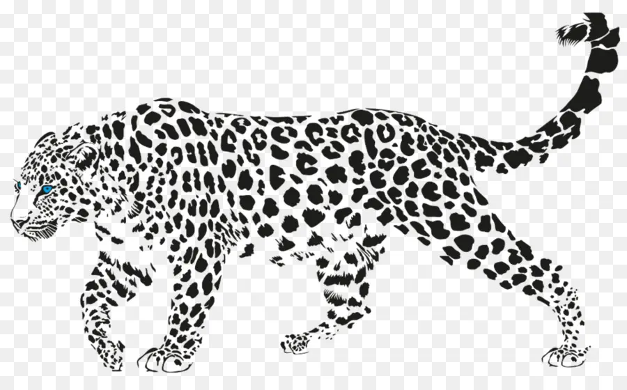 Leopard，Cheetah PNG