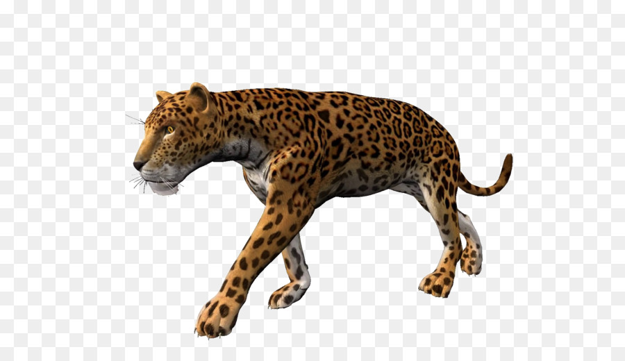 Leopard，Jaguar PNG