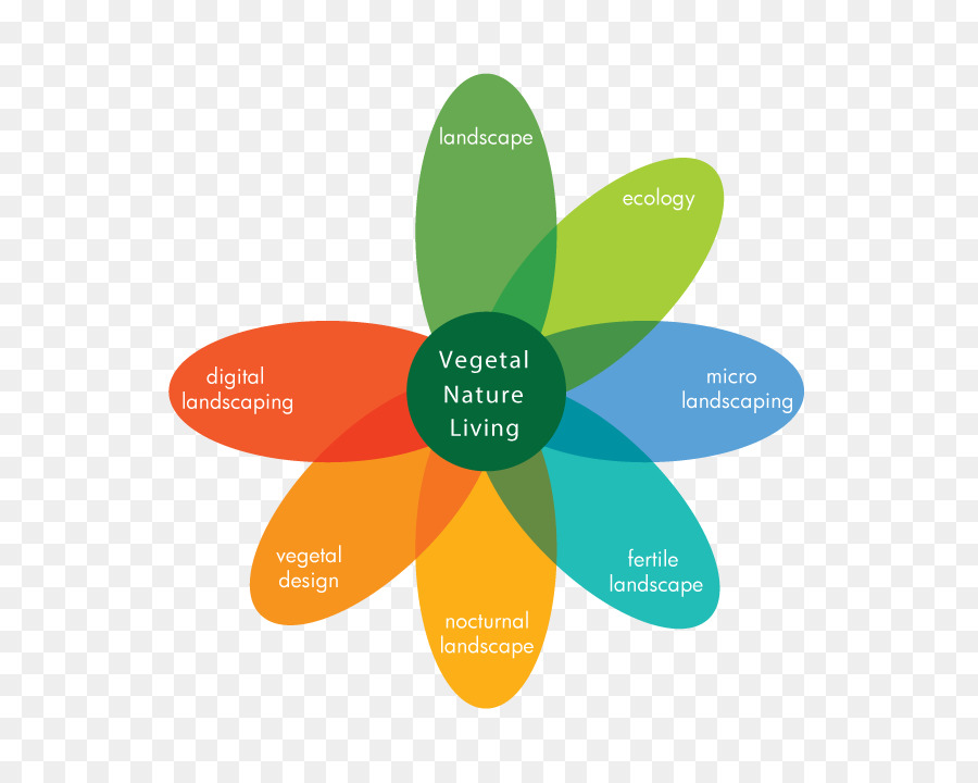 Diagrama De Flores，Natureza PNG