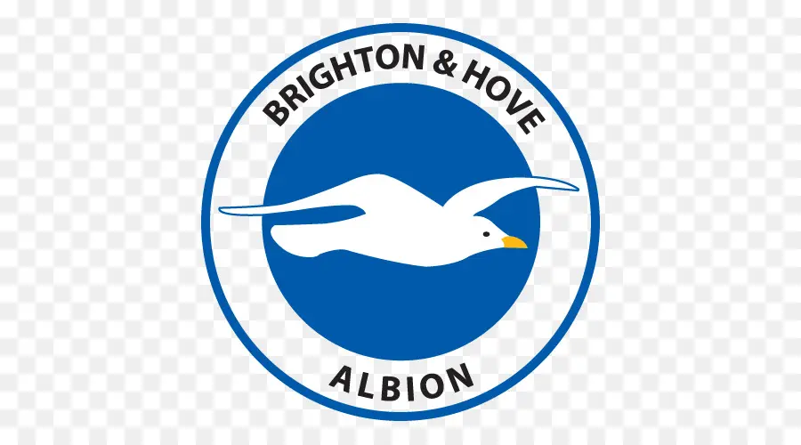 Logotipo Do Brighton Hove Albion，Gaivota PNG