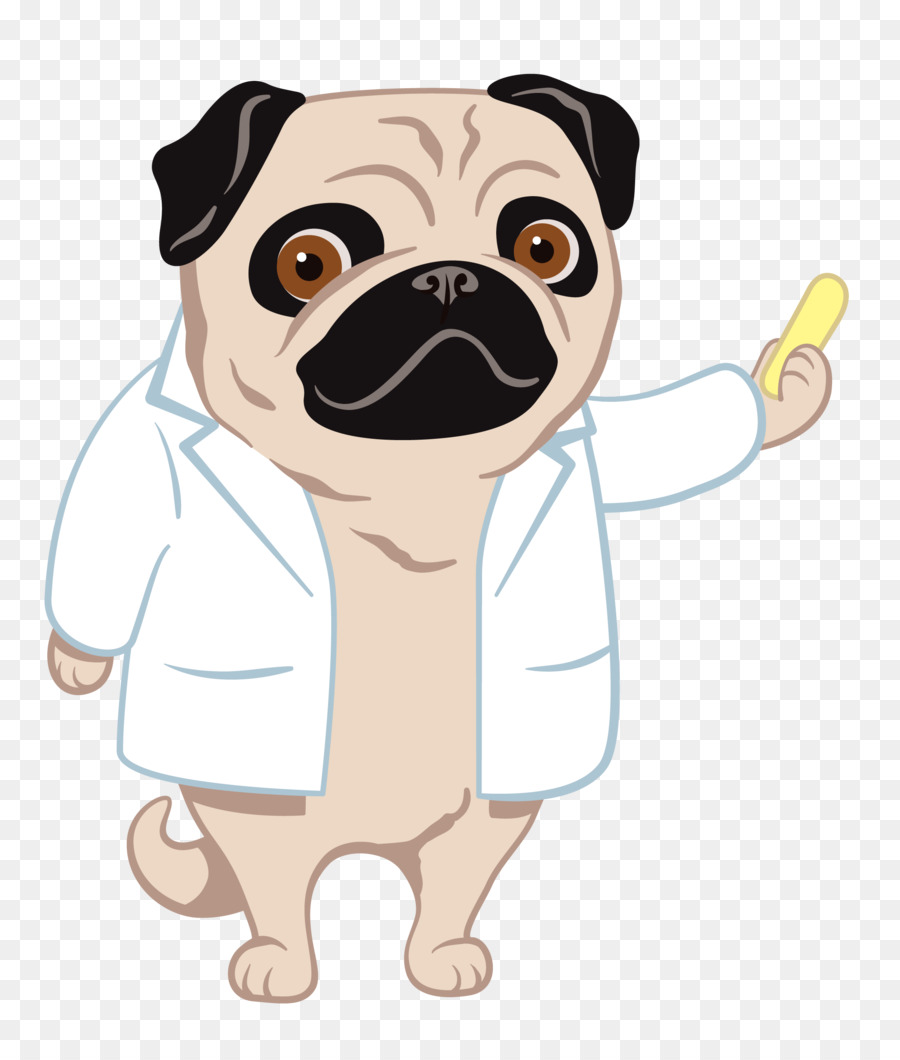 Pug，Filhote De Cachorro PNG