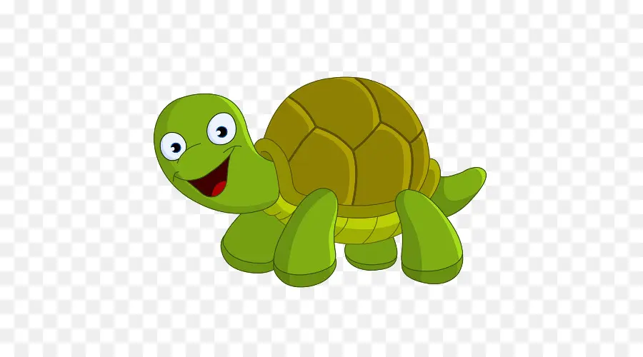 Turtle，Royaltyfree PNG