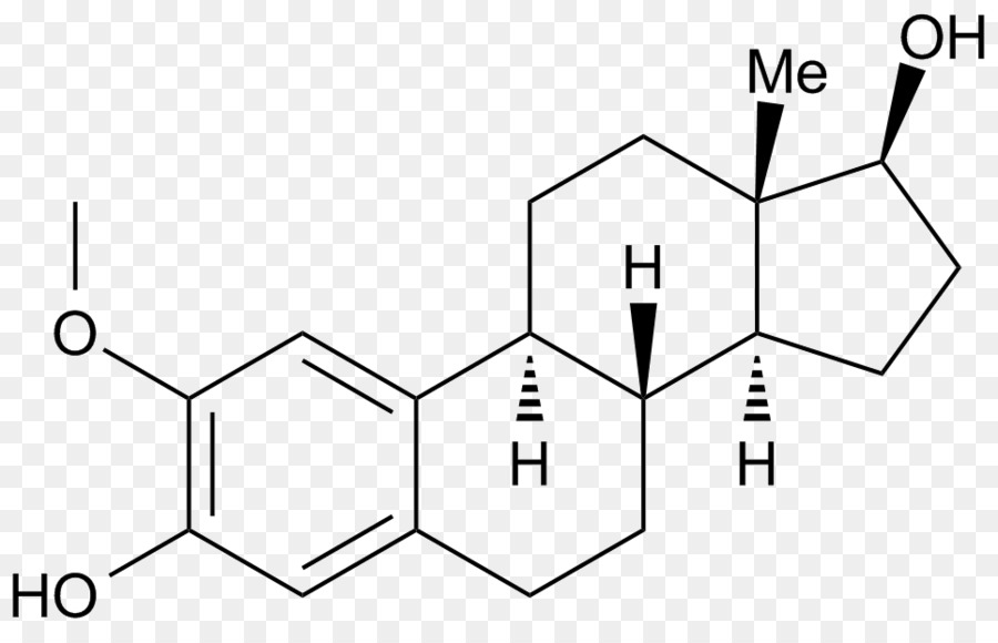 Estradiol，Ethinylestradiol PNG