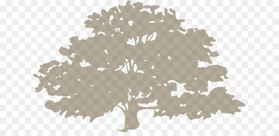 árvore，Arboricultura PNG