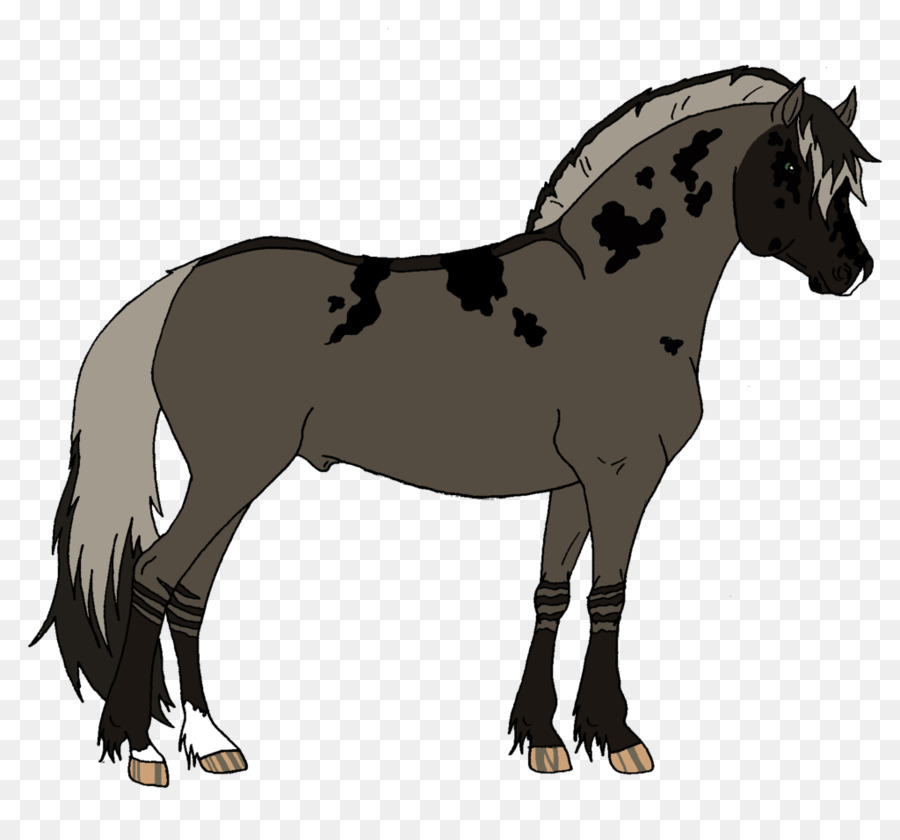 Cavalo Zebra，Zebra PNG