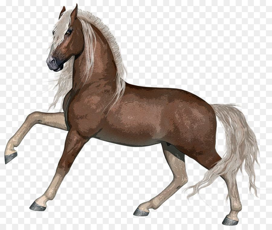 Cavalo Correndo，Animal PNG