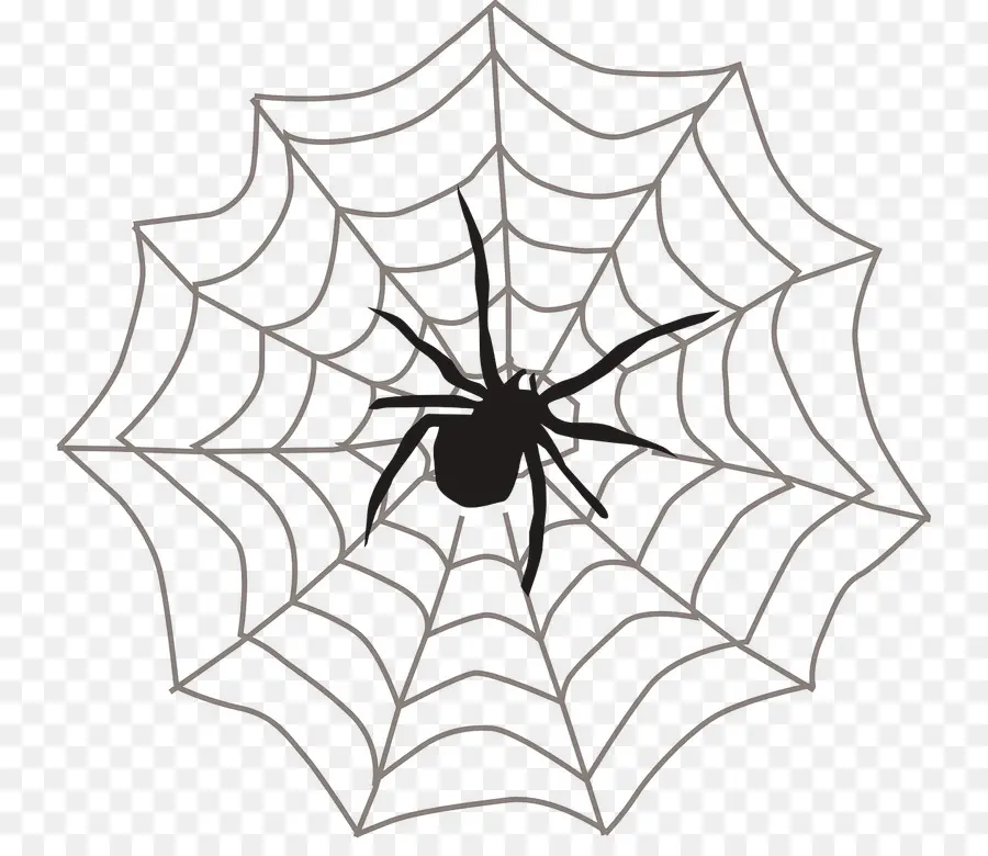 Teia De Aranha，Aranha PNG