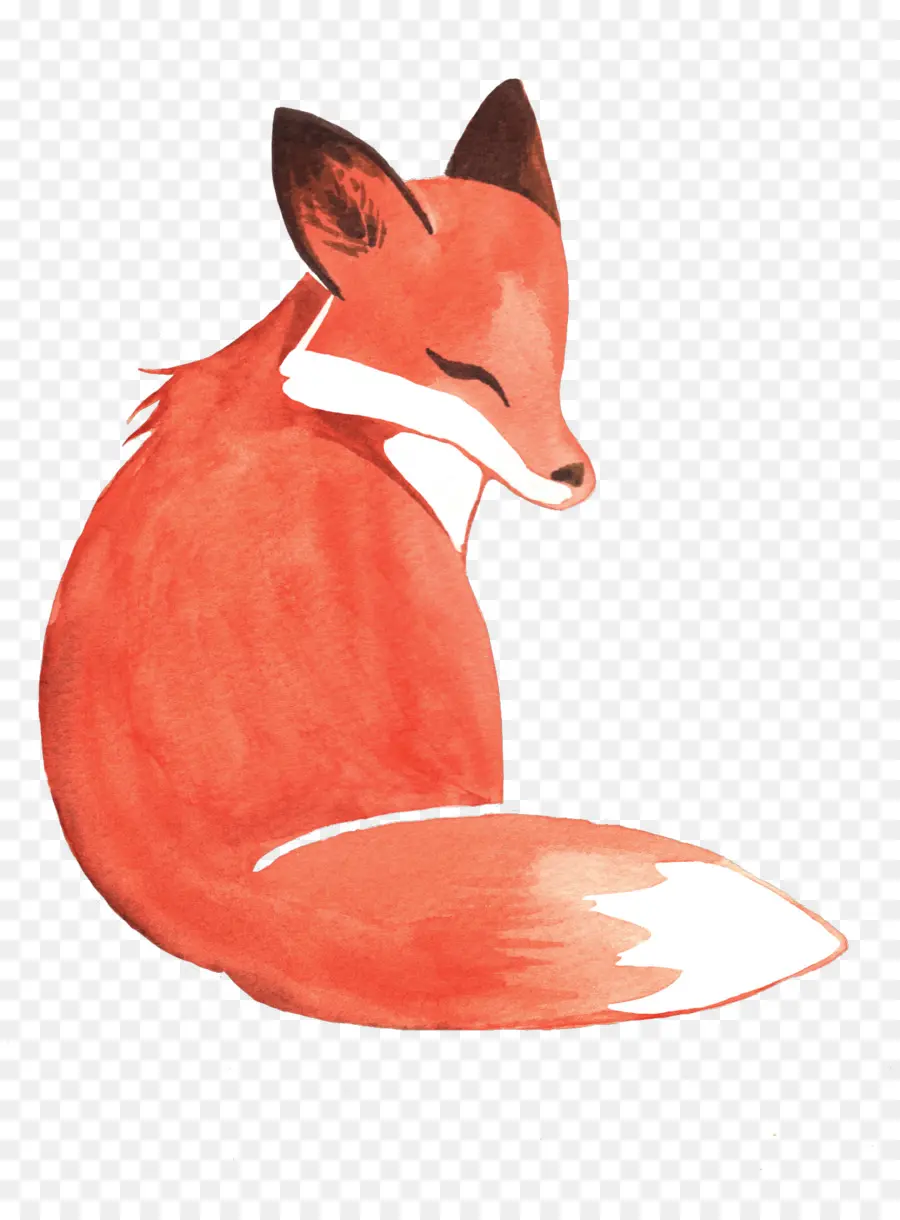 Pintura Em Aquarela，Fox PNG