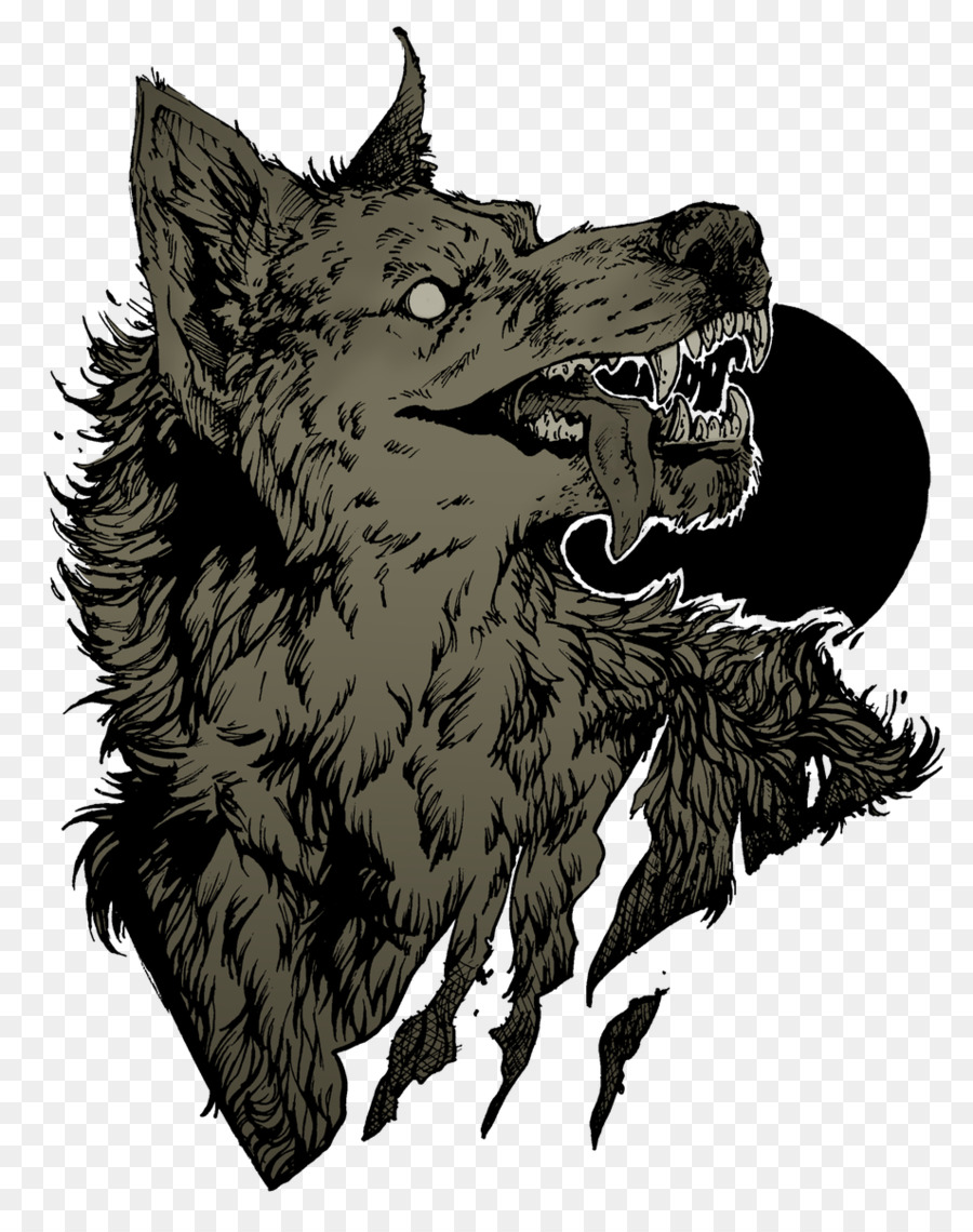 Lobo，Uivando PNG