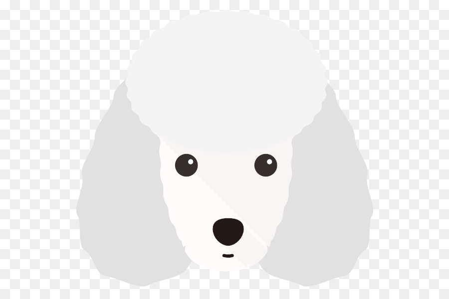 Cachorro，Urso PNG