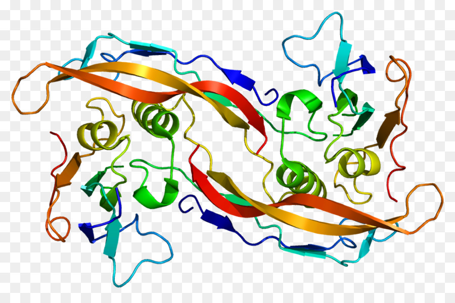 Bmpr1a，Proteína PNG