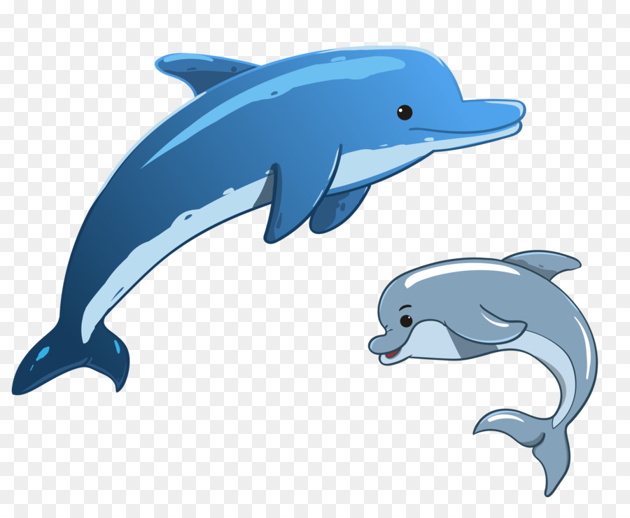 Dolphin，Fotografia De Stock PNG