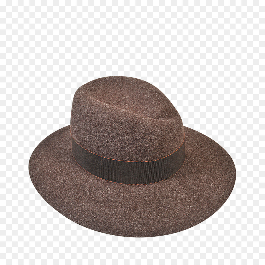 Chapéu Fedora，Marrom PNG