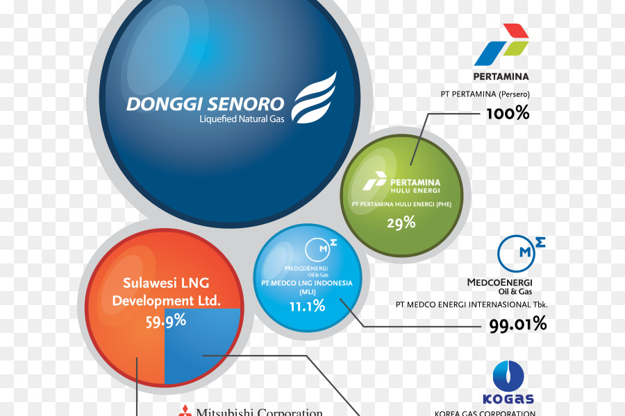 Pt Donggisenoro De Gnl，Organização PNG