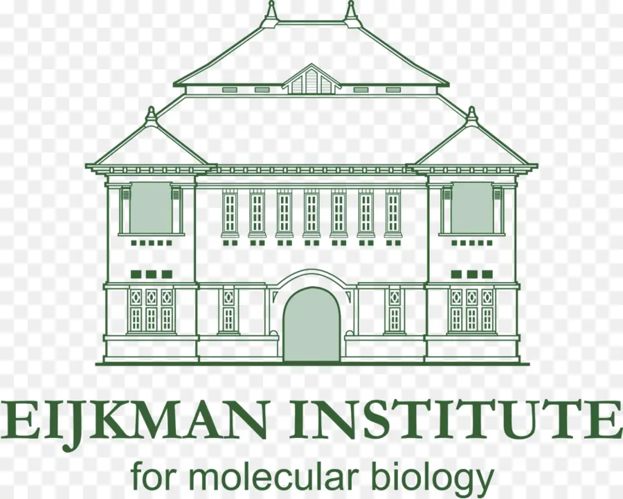 Eijkman Instituto De Biologia Molecular，Investigação PNG
