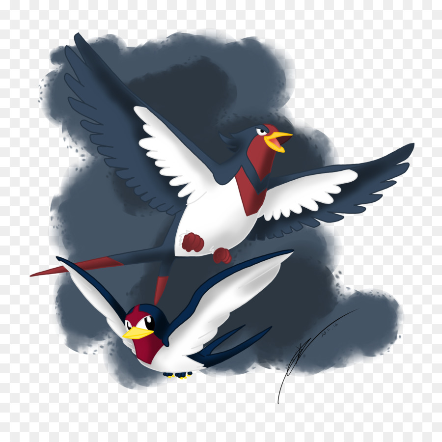 Bico，Aves PNG