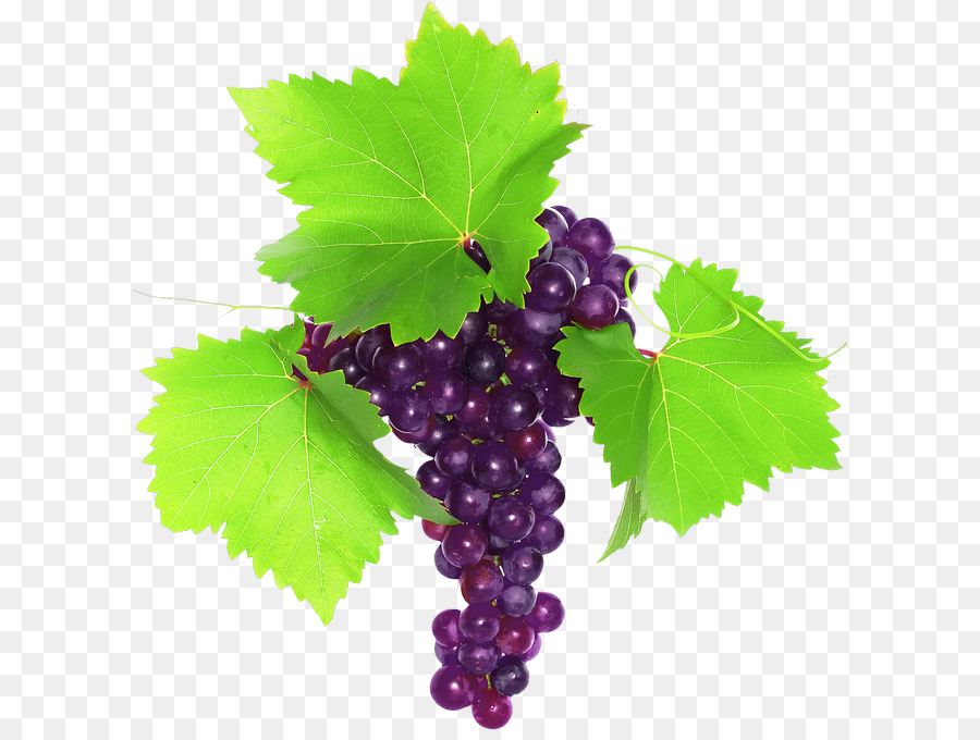 Uvas Verdes，Folha PNG