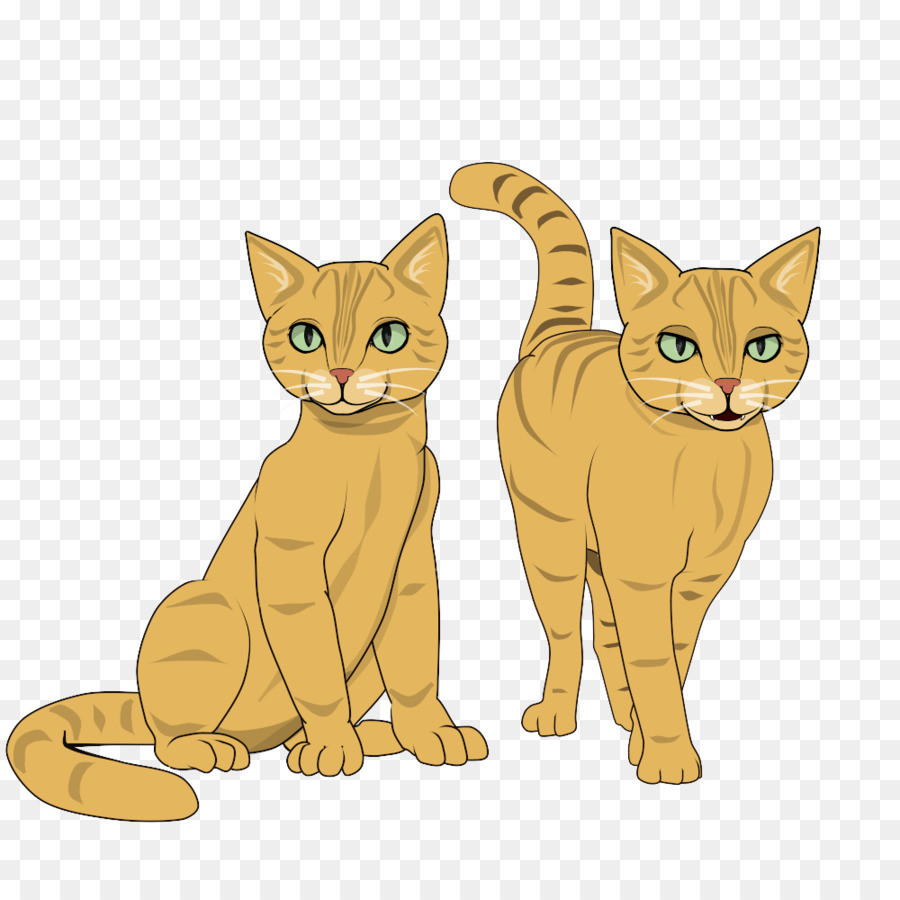 Dois Gatos，Felino PNG