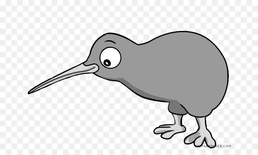 Pássaro Kiwi，Pássaro PNG