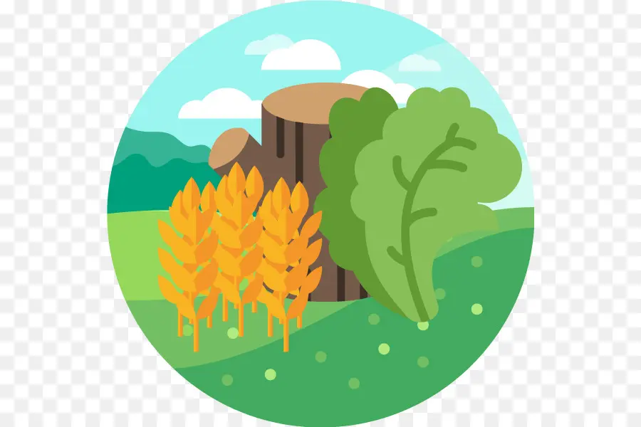 Biomassa，Energia Renovável PNG