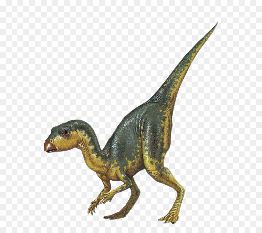 Dinossauro Verde，Pré Histórico PNG