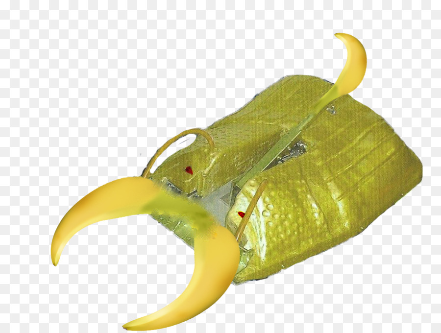 Banana， PNG