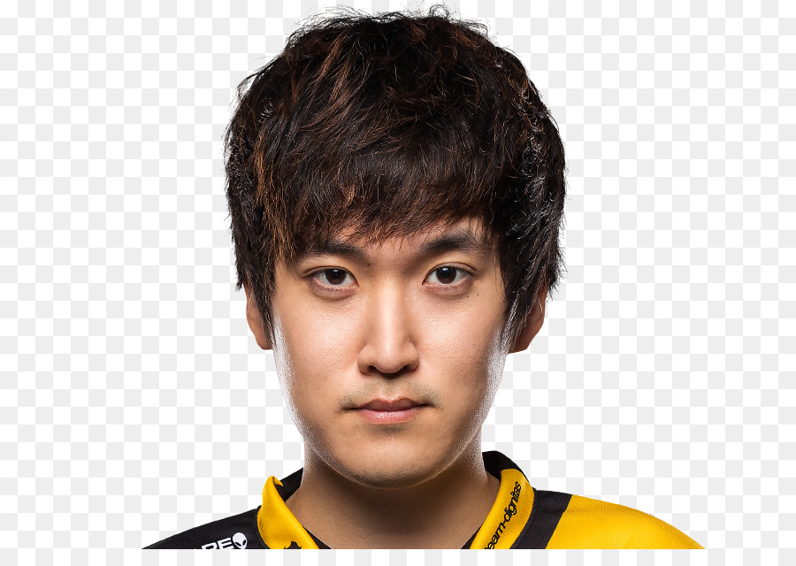 Flyquest，Wildturtle PNG