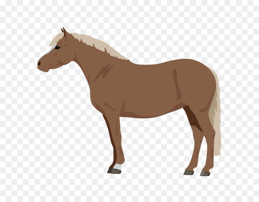 Cavalo，Royaltyfree PNG