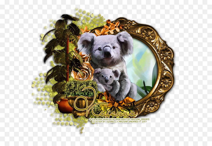 Koala，Urso PNG