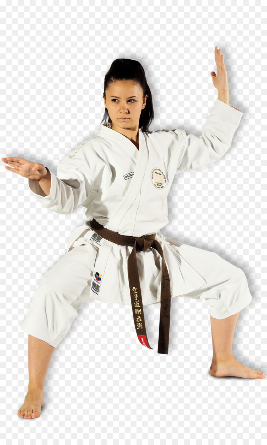 Garota Karatê，Artes Marciais PNG