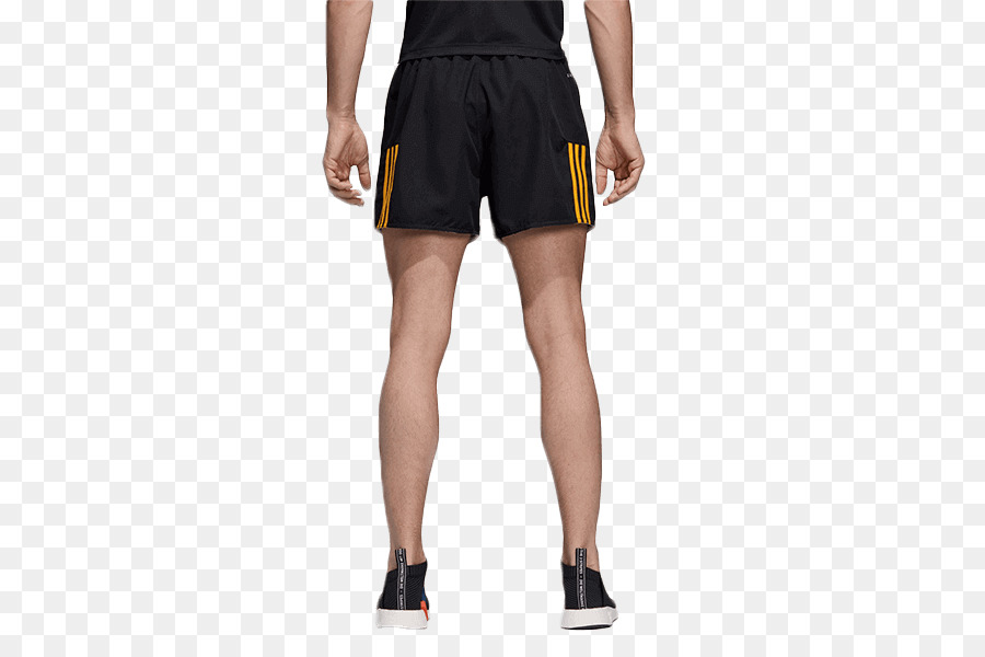 Shorts，Shorts De Ginástica PNG