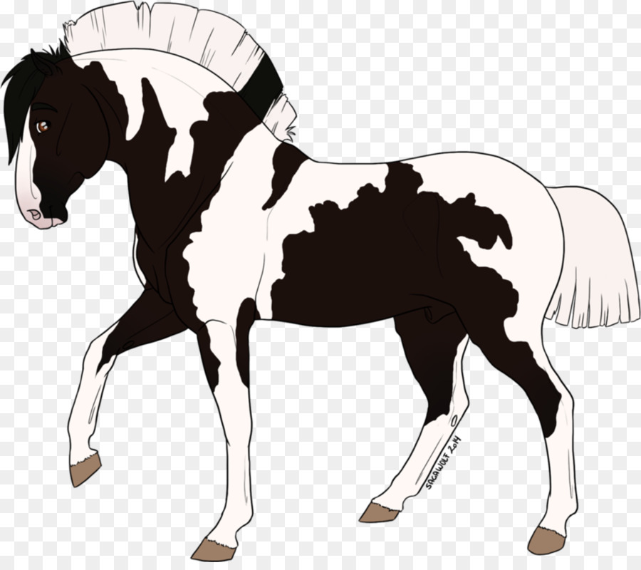 Cavalo，Equino PNG