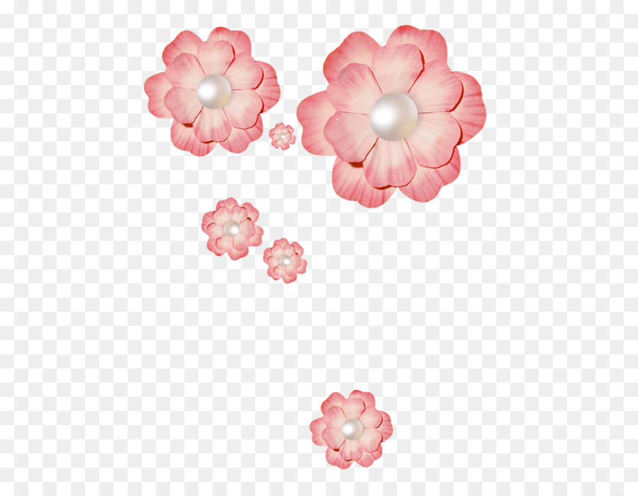 Flores Cor De Rosa，Florescer PNG