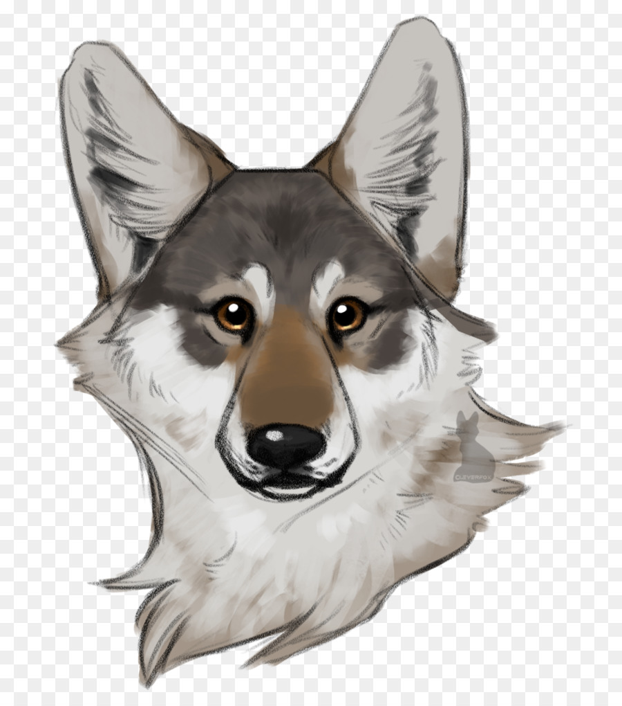 Saarloos Wolfdog，Checoslováquia Wolfdog PNG